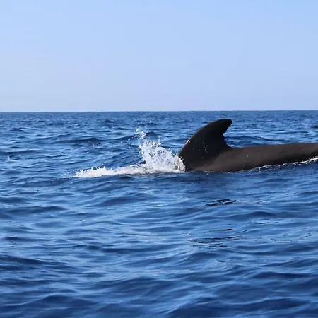 Loft Апартаменти *